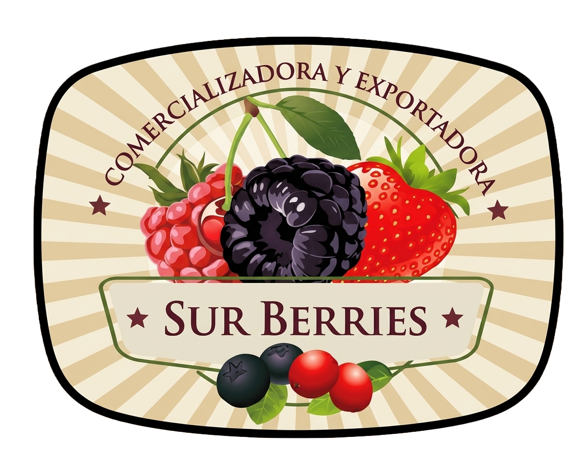 Sur Berries - Exportadora de Frutos Congelados